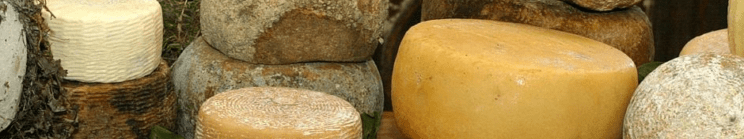 formaggi toscani